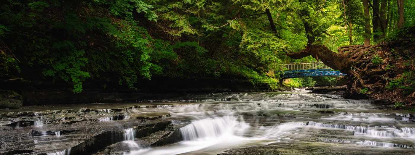 Grimes Glen County Park | Finger Lakes Land Trust