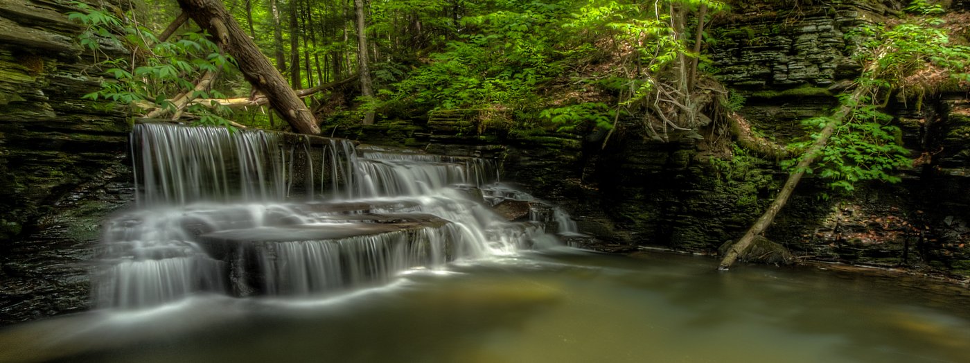 Roy H Park Preserve | Finger Lakes Land Trust