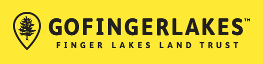 Go Finger Lakes logo