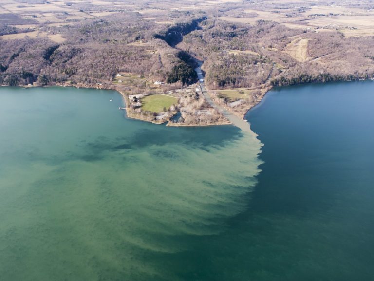 Toxic Algae Facts for Everyone to Know | Finger Lakes Land Trust