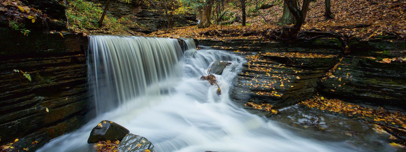 FLLT Annual Report (2019-2020) | Finger Lakes Land Trust