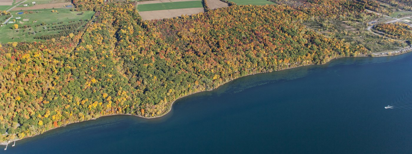 Finger Lakes Land Trust Completes Acquisition Of Largest Remaining ...