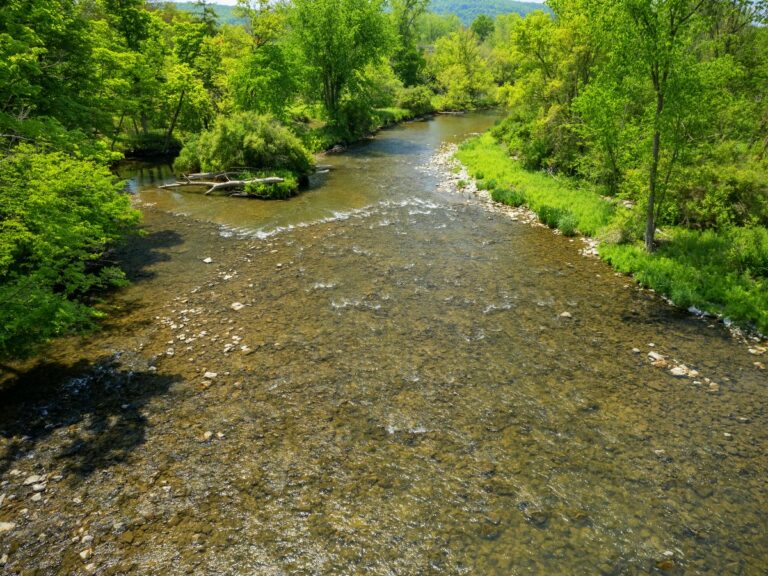 Finger Lakes Land Trust Expands Conservation Land Along Fall Creek ...