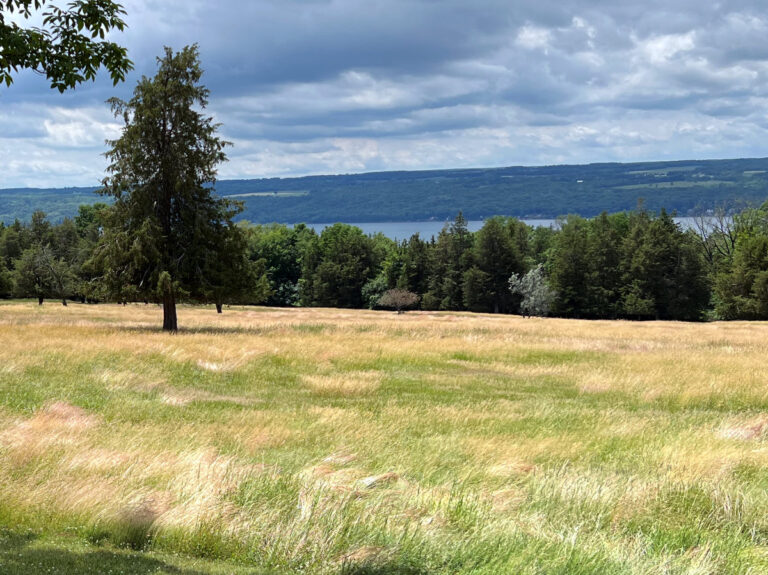 Finger Lakes Land Trust To Convert Former Golf Course To Wildlife ...