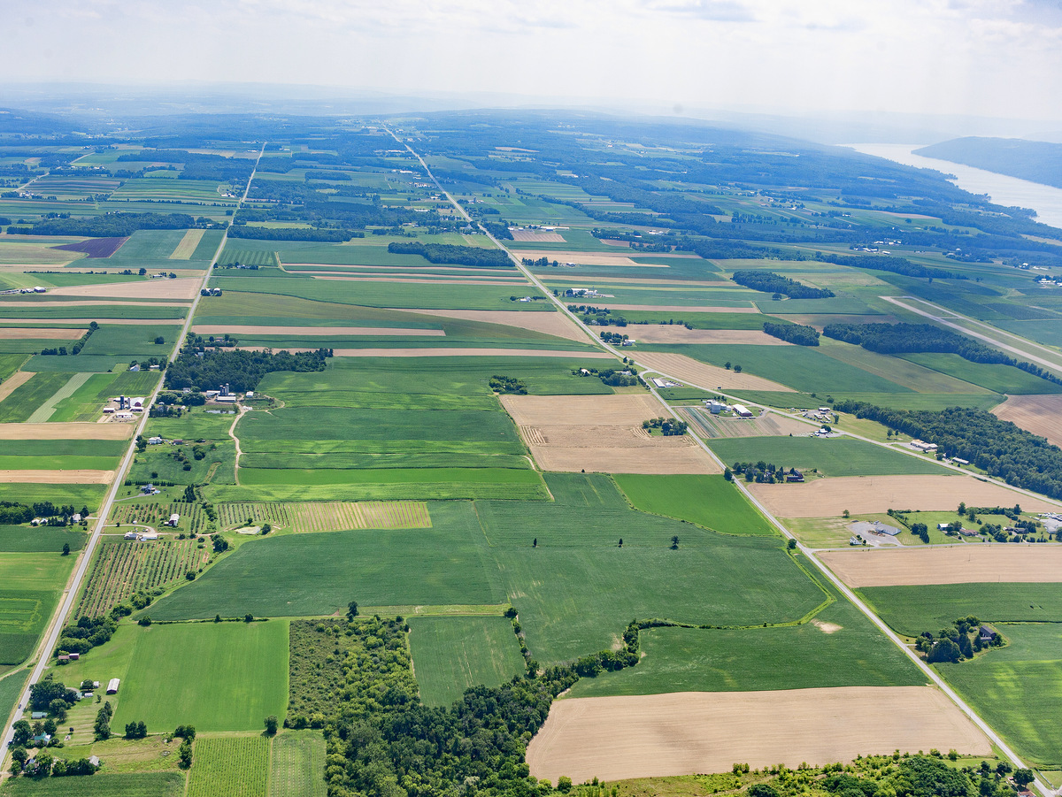 An aerial view of farmland