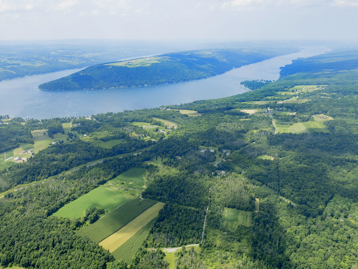 An aerial view of a lake and farmland