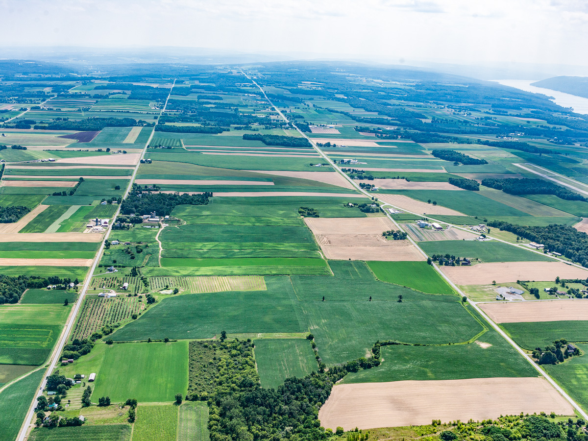 An aerial view of farmland