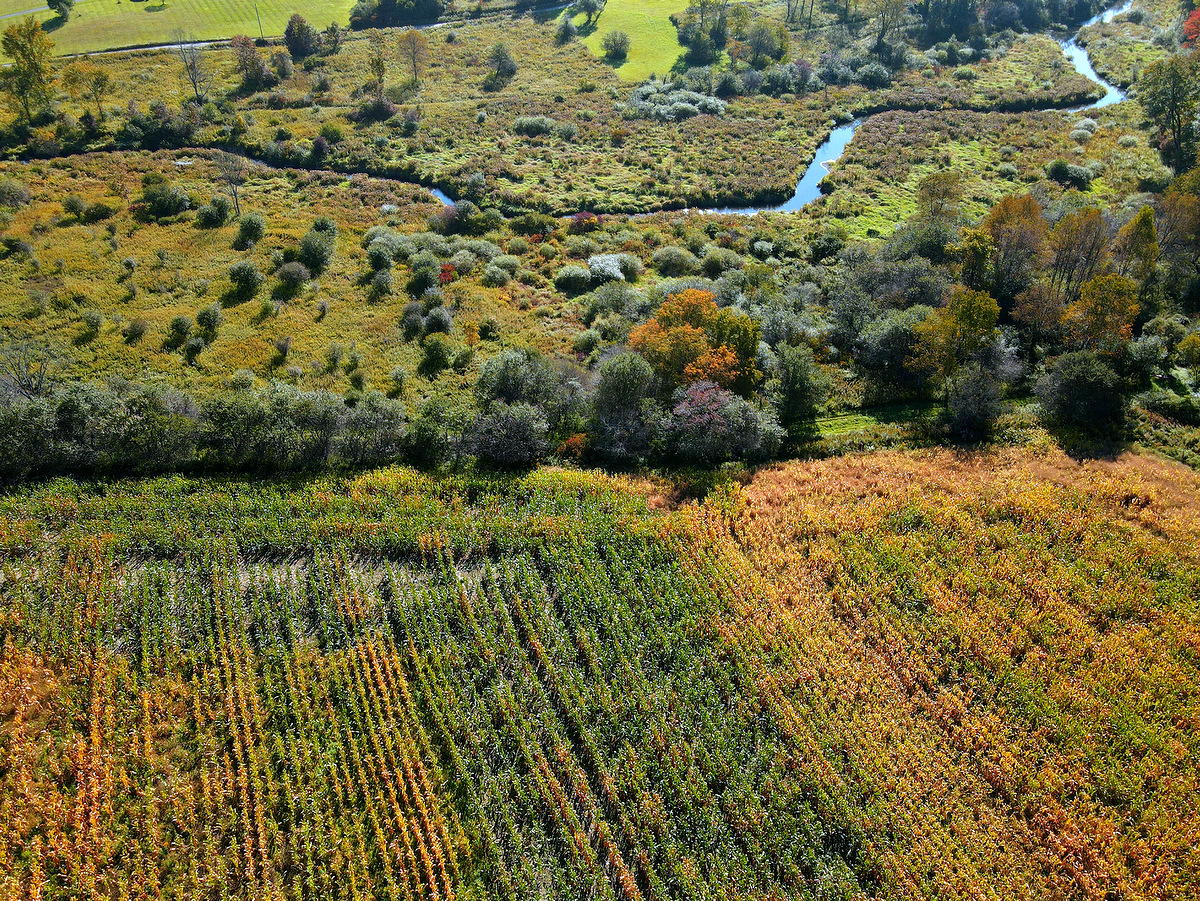 An aerial view of fields and a creek