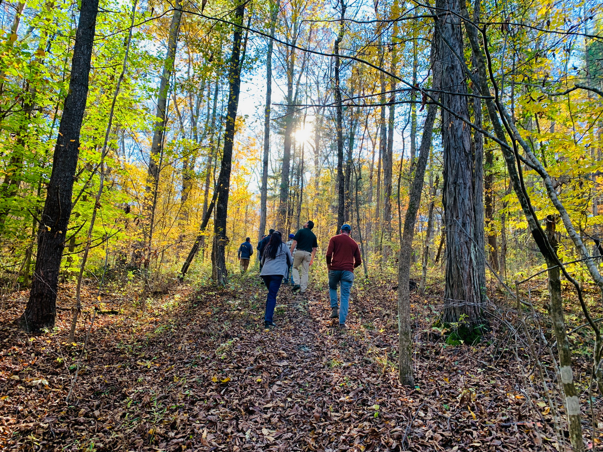 People walking on a wooded trail in autumn